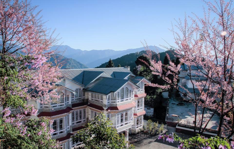 Norbu Ghangh Retreat & Spa Pemayangtse Exteriér fotografie